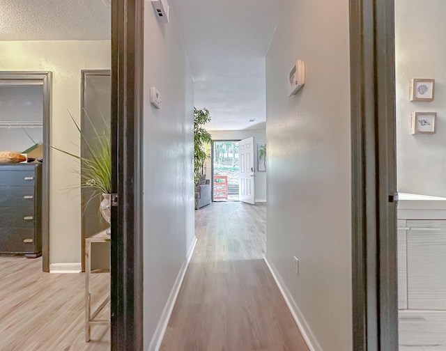 1550 Kay Ave Unit 3, Tallahassee, FL 32301 - photo 11