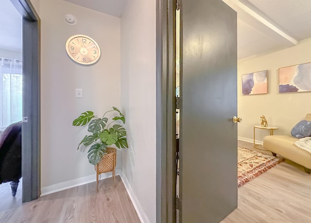 1550 Kay Ave Unit 3, Tallahassee, FL 32301 - photo 17