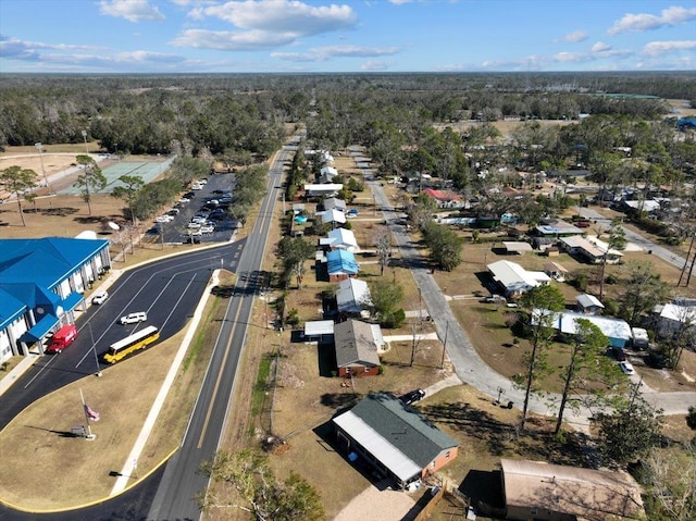 bird's eye view