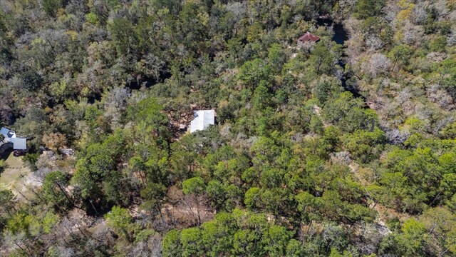 30 Lizard Ln, Sopchoppy, FL 32358 - photo 37