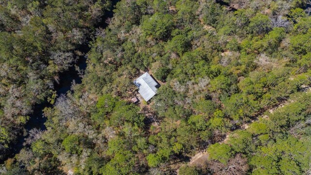 30 Lizard Ln, Sopchoppy, FL 32358 - photo 36