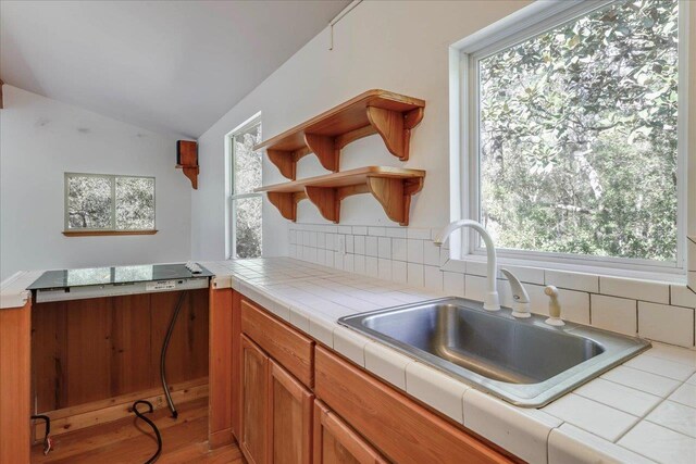 30 Lizard Ln, Sopchoppy, FL 32358 - photo 21