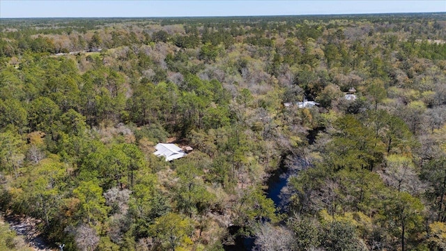 30 Lizard Ln, Sopchoppy, FL 32358 - photo 41