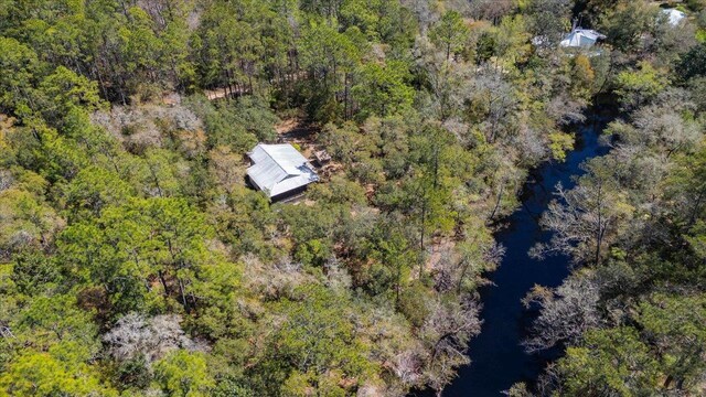 30 Lizard Ln, Sopchoppy, FL 32358 - photo 40