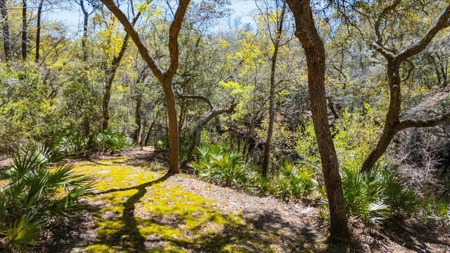 30 Lizard Ln, Sopchoppy, FL 32358 - photo 33