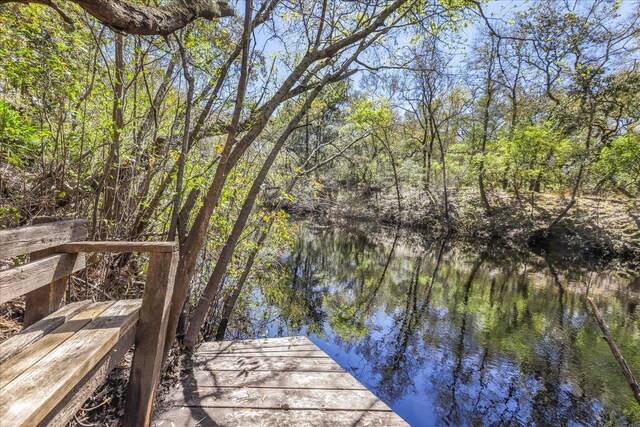 30 Lizard Ln, Sopchoppy, FL 32358 - photo 35