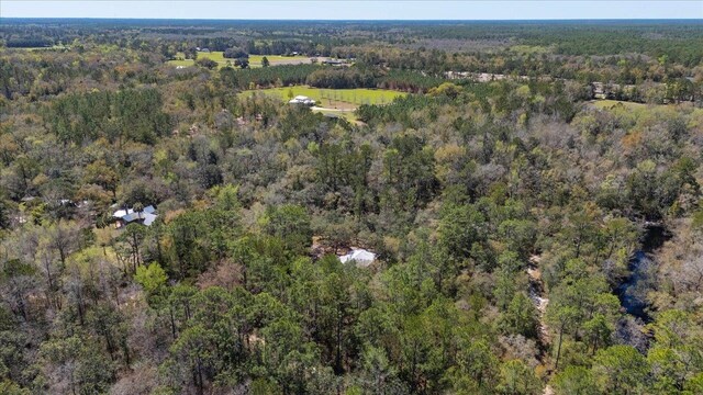 30 Lizard Ln, Sopchoppy, FL 32358 - photo 38