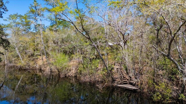 30 Lizard Ln, Sopchoppy, FL 32358 - photo 34