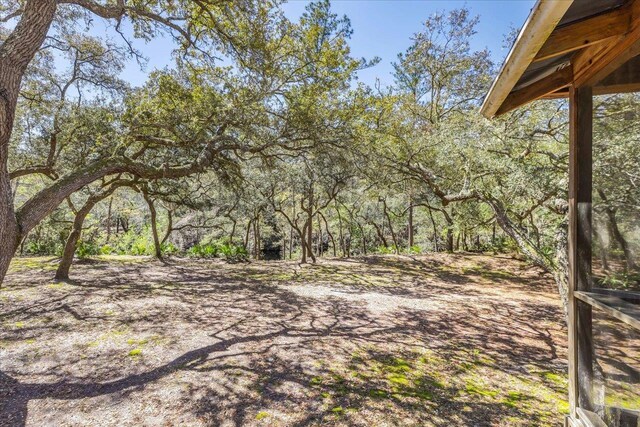 30 Lizard Ln, Sopchoppy, FL 32358 - photo 9