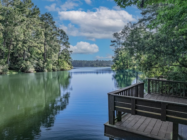 2734 Waterford Glen Ct, Tallahassee, FL 32312 - photo 6