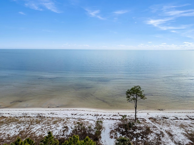 water view with a view of the beach