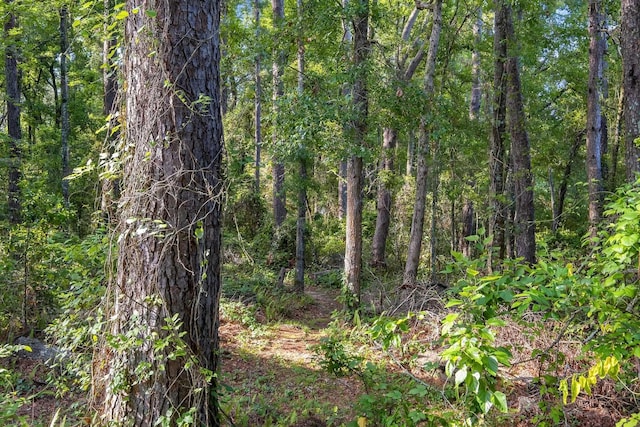1541 San Luis Rd, Tallahassee, FL 32304 - view of local wilderness with a wooded view