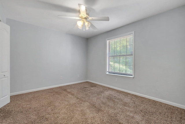 1541 San Luis Rd, Tallahassee, FL 32304 - empty room with carpet floors, baseboards, and ceiling fan