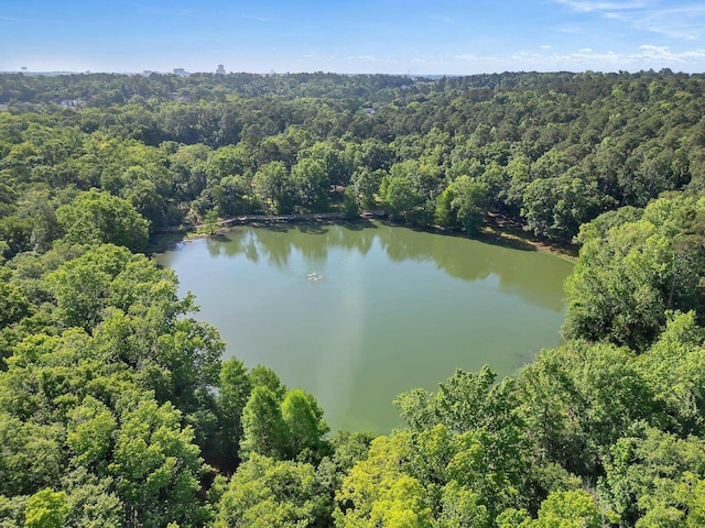 1541 San Luis Rd, Tallahassee, FL 32304 - aerial view with a view of trees and a water view