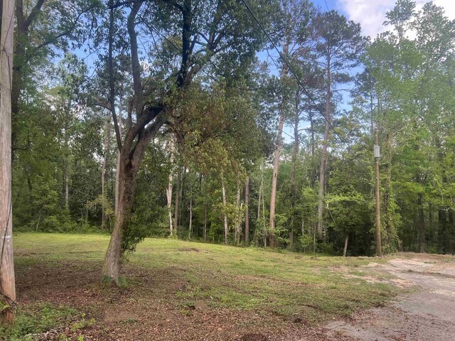 738 Livingston Ct, Tallahassee, FL 32303 - photo 3