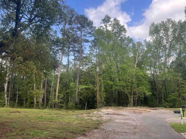 738 Livingston Ct, Tallahassee, FL 32303 - photo 4