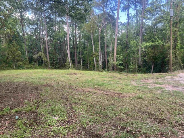 738 Livingston Ct, Tallahassee, FL 32303 - photo 6