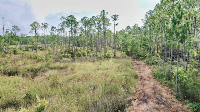 XX Mill Rd, Carrabelle, FL 32322 - photo 13