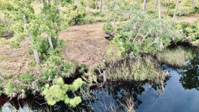 XX Mill Rd, Carrabelle, FL 32322 - photo 9
