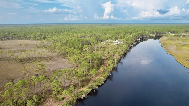 XX Mill Rd, Carrabelle, FL 32322 - photo 11