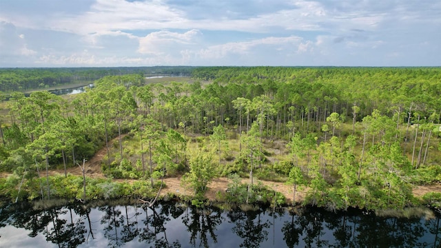 XX Mill Rd, Carrabelle, FL 32322 - photo 5