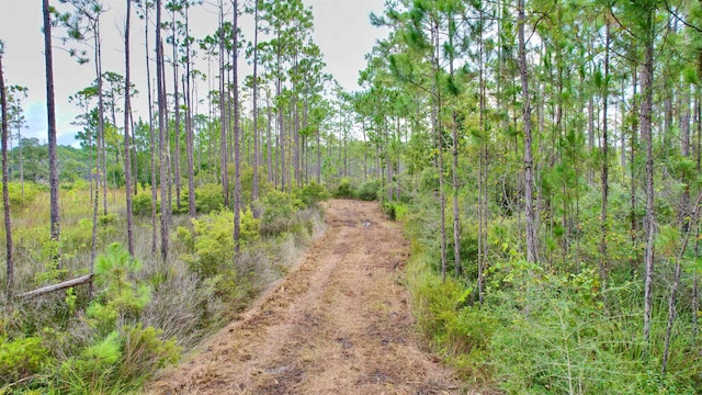 Listing photo 2 for XX Mill Rd, Carrabelle FL 32322