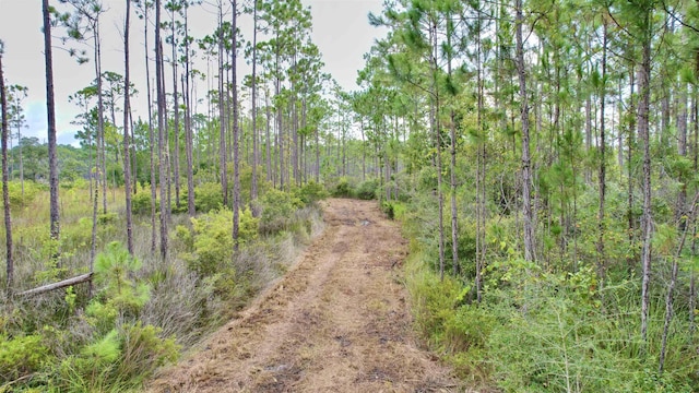 XX Mill Rd, Carrabelle, FL 32322 - photo 2