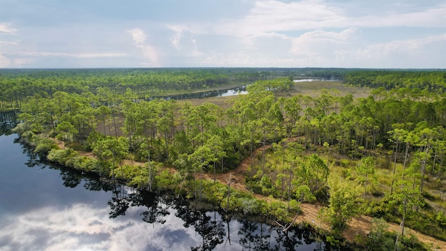 XX Mill Rd, Carrabelle, FL 32322 - photo 4