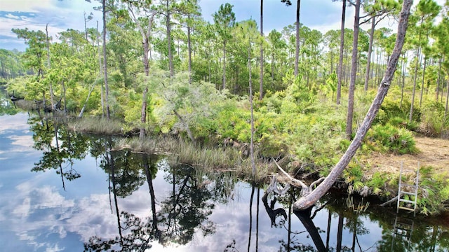 XX Mill Rd, Carrabelle, FL 32322 - photo 8