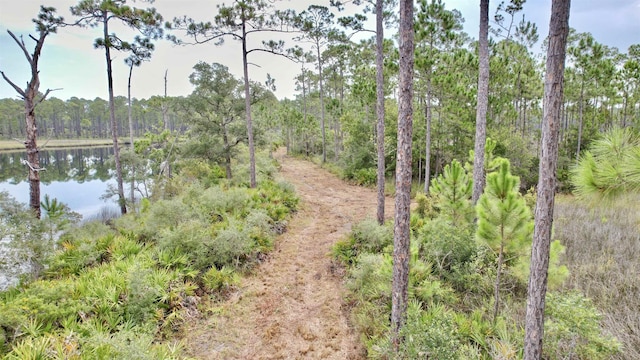 XX Mill Rd, Carrabelle, FL 32322 - photo 16