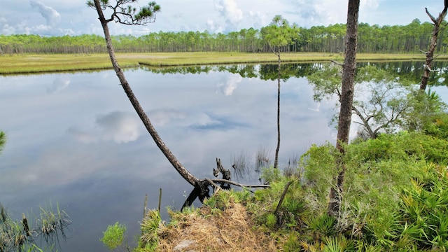 XX Mill Rd, Carrabelle, FL 32322 - photo 15
