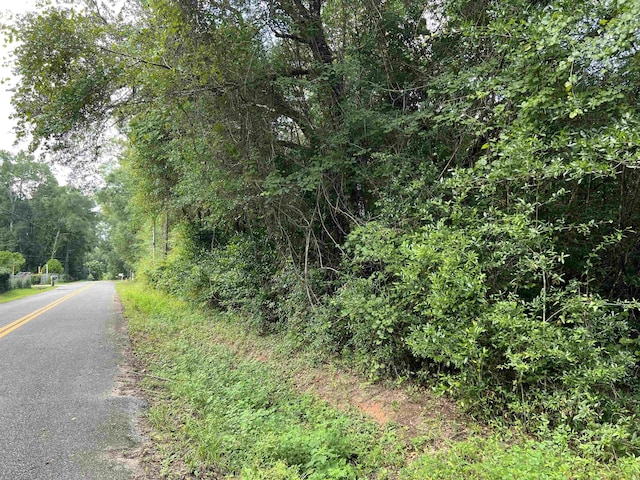 XX S Lanier Rd, Havana, FL 32333 - photo 19
