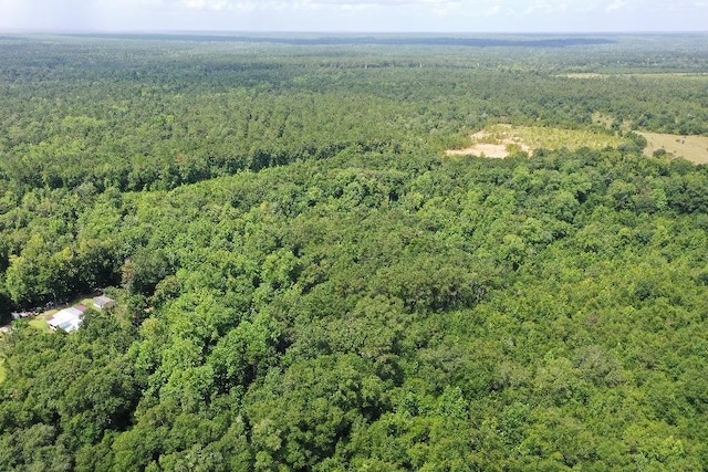 XX S Lanier Rd, Havana, FL 32333 - photo 11
