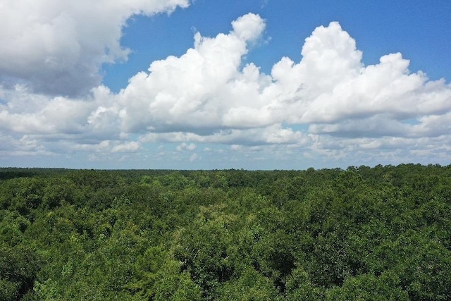 XX S Lanier Rd, Havana, FL 32333 - photo 1