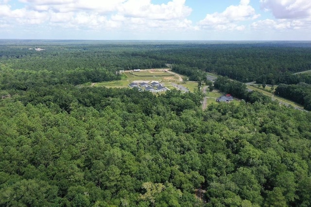 XX S Lanier Rd, Havana, FL 32333 - photo 3