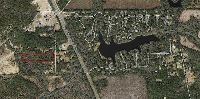XX S Lanier Rd, Havana, FL 32333 - photo 7