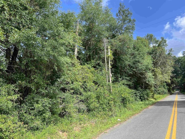 XX S Lanier Rd, Havana, FL 32333 - photo 4