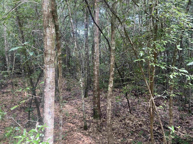XX S Lanier Rd, Havana, FL 32333 - photo 9