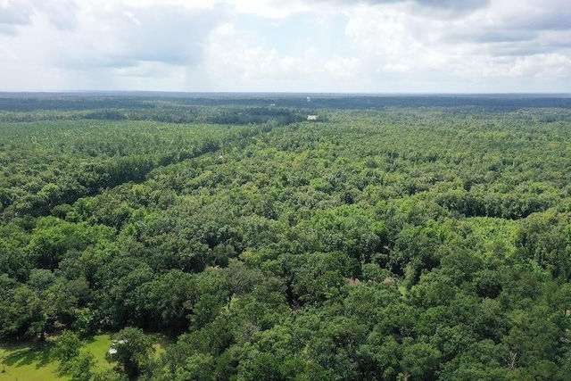 XX S Lanier Rd, Havana, FL 32333 - photo 10