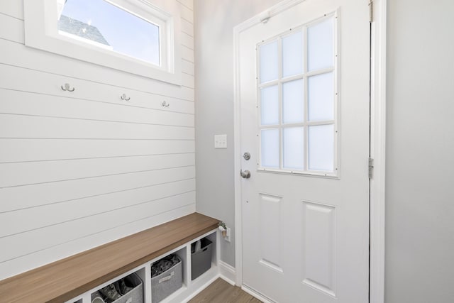 mudroom with a wealth of natural light and wood-type flooring