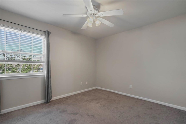 787 E Timberwood Cir, Tallahassee, FL 32304 - spare room with carpet flooring, baseboards, and ceiling fan