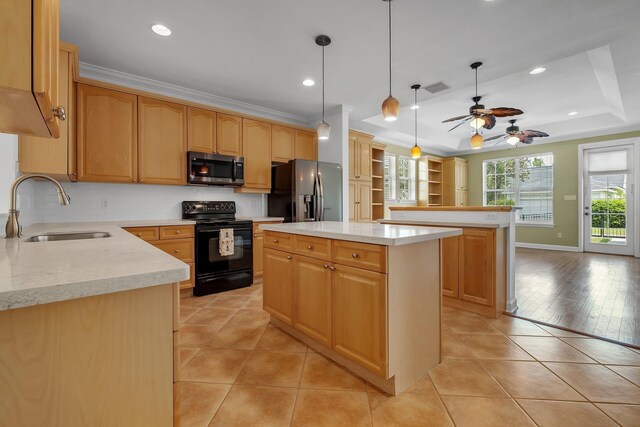 3248 Newberry Blvd, Tallahassee, FL 32311 - kitchen with stainless steel appliances, a sink, a center island, a raised ceiling, and a ceiling fan