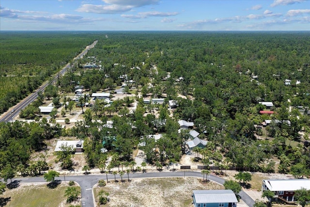 1815 NE Mabels Ave, Steinhatchee, FL 32359 - photo 42