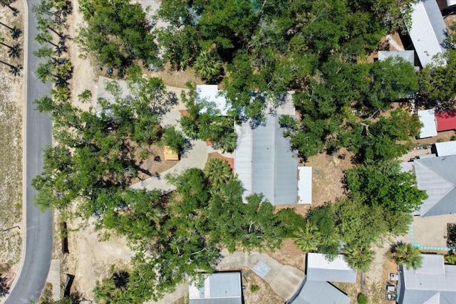 1815 NE Mabels Ave, Steinhatchee, FL 32359 - photo 34
