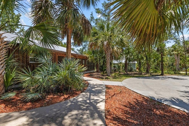 1815 NE Mabels Ave, Steinhatchee, FL 32359 - photo 9