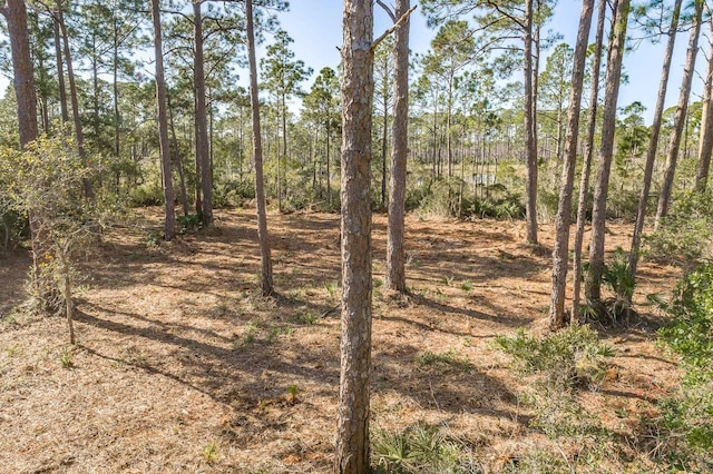 200, 202 Maple St, Alligator Point, FL 32346 - photo 15