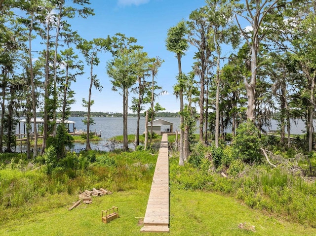 2845 NE Cherry Lake Cir, Pinetta Madison County, FL 32350 - view of yard with a water view