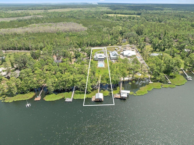 2845 NE Cherry Lake Cir, Pinetta Madison County, FL 32350 - view of property location with a heavily wooded area, property boundaries highlighted, and a nearby body of water