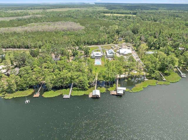 2845 NE Cherry Lake Cir, Pinetta Madison County, FL 32350 - aerial view of property and surrounding area featuring a forest and a large body of water