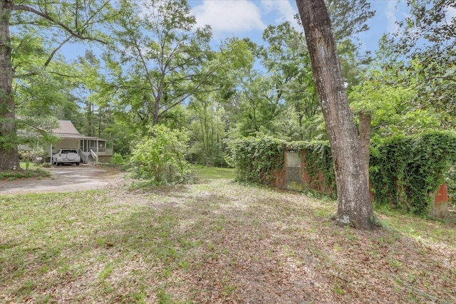 8171 Winnie Ln, Tallahassee, FL 32304 - photo 35